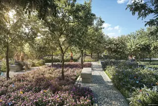 Butterfly Garden